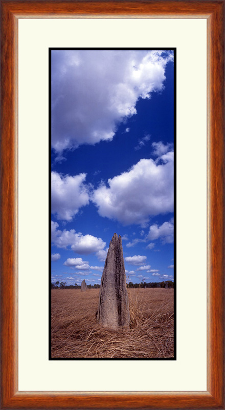 Lakefield Termites