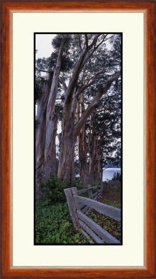 Framed
