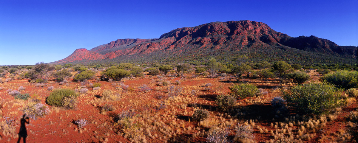 Mt Augustus