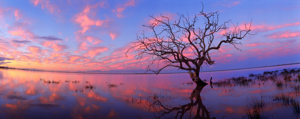 Coongie Lake
