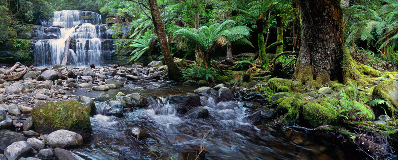 Liffey Falls, Tas.