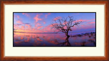 Framed